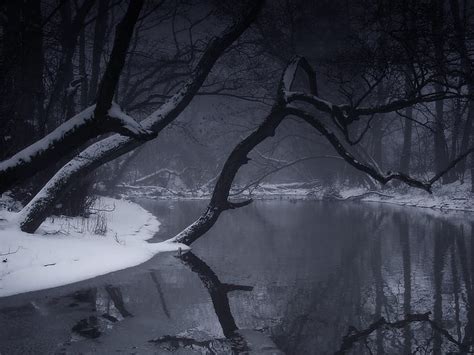 Trees Winter Snow Pond Reflection Hd Grayscale Photo Of Body Of Water