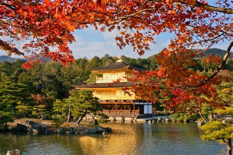 The Golden Pavilion Kissed By The Afternoon Sun Kinkaku Ji Temple
