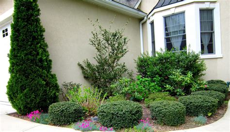 Best Shrubs And Bushes For Front Of House