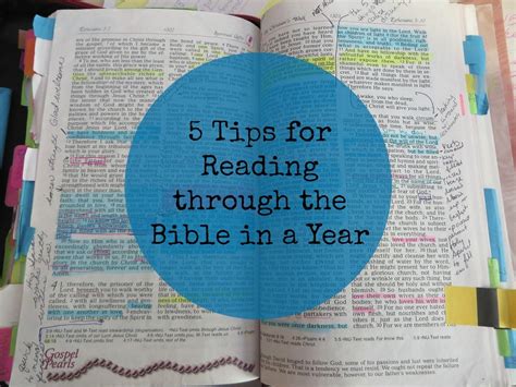 Get the free bible hub app! Bible Study Tools and Tips - Missional Women
