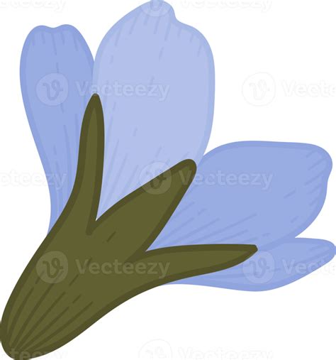 Blue Forget Me Not Flower Hand Drawn Illustration 10171066 Png