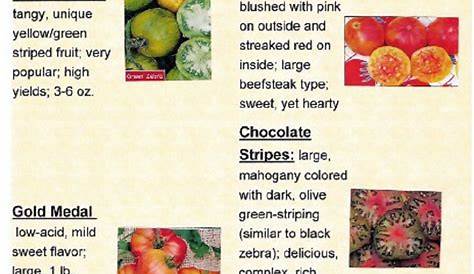 Best Heirloom Tomato Varieties – Gourmet Striped http://justeatveggies