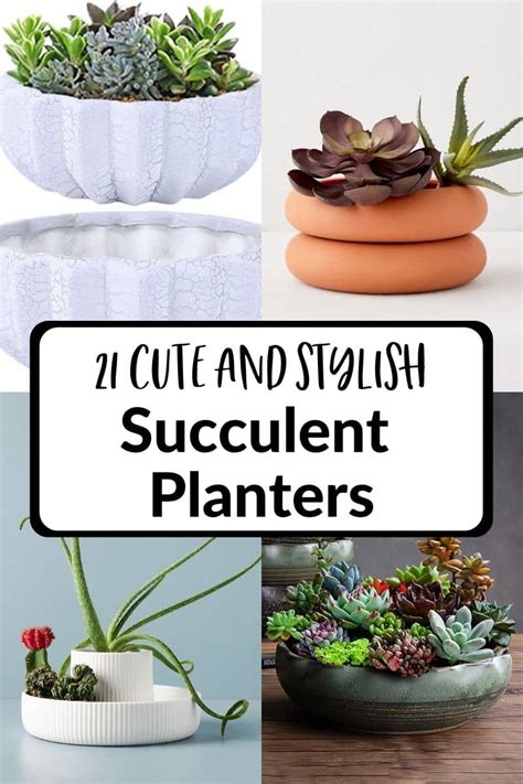 Indoor Succulent Planters 21 Pots For Displaying Your Succulents