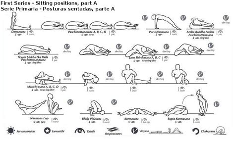 Primary Series Sitting Positions A