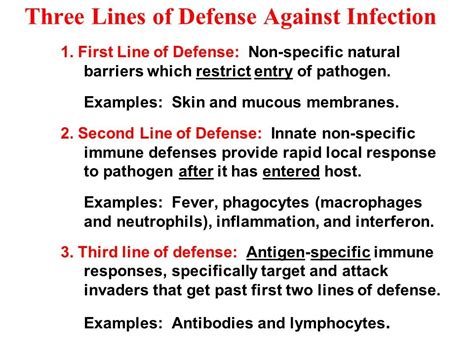 Перевод контекст first line of defense c английский на русский от reverso context: The Immune System - OBEN Science 7E