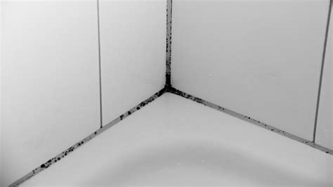 Ein klassiker zum reinigen von fugen ist backpulver, das mit lauwarmem wasser vermischt auf die fliesenfugen gestrichen und später wieder abgewaschen wird. Fliesenfugen reinigen - das sind die besten natürlichen ...