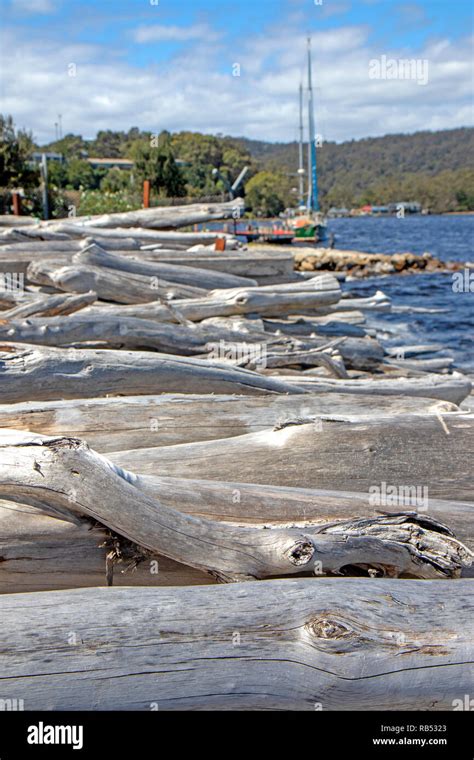 Huon Pine Logs On The Shore At Strahan Stock Photo Alamy