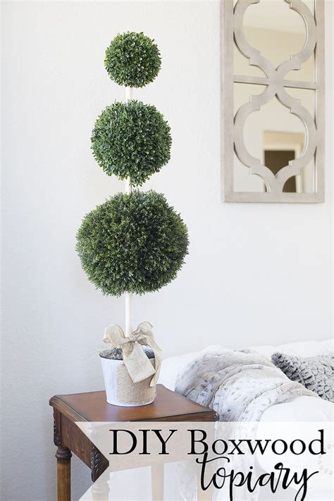 A Boxwood Topiary Plant On A Table In Front Of A Mirror With The Words