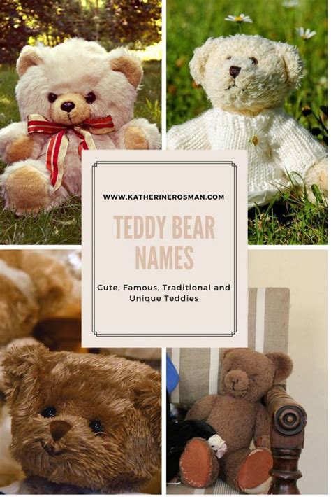 85 Teddy Bear Names Cute Famous Traditional And Unique Teddies