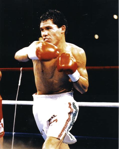 Julio Cesar Chavez World Boxing Champion Mexico Julio C Sar Chavez