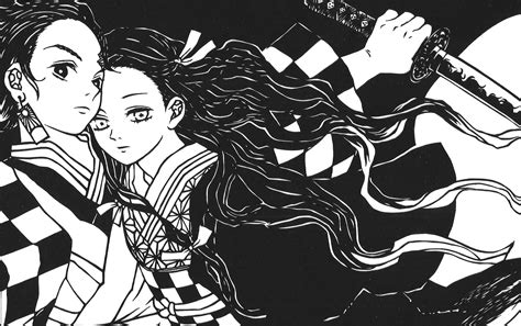 Anime Demon Slayer Kimetsu No Yaiba Nezuko Kamado Tanjirou Kamado