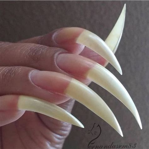 Pin By Tonya Andrews On Nails Curved Nails Long Nails Long Natural