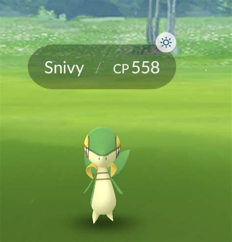 How To Get A Shiny Snivy In Pokemon Go What Box Game