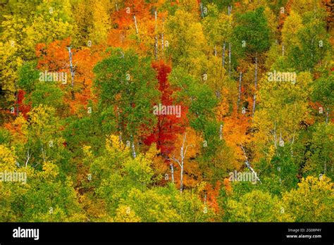 Fall Colors On Carlton Peak In Northern Minnesota Usa Stock Photo Alamy