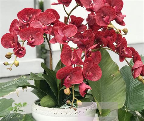 Check spelling or type a new query. Artificial Orchid Arrangement - Long Lasting Beauty - EF ...