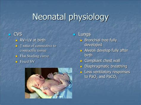 Ppt Neonatal And Paediatric Anatomy And Physiology Powerpoint