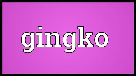 Gingko Meaning Youtube