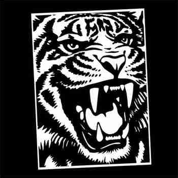 Mystery Grid Drawing Tiger By Outside The Lines Lesson Designs