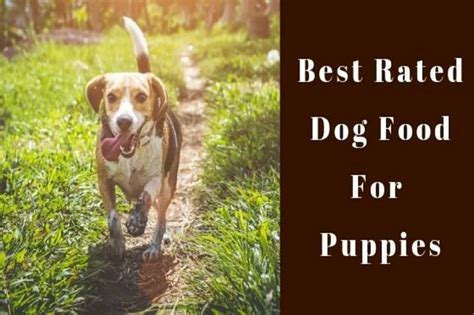 Not only it impacts their tummies but. The Best Rated (Healthy!) Dog Food For Puppies - Top 10!