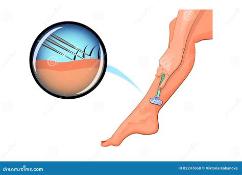 Shaving A Woman S Legs Stock Vector Illustration Of Complexion