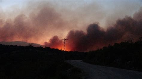 Ve en son sözü belki de başka ne söylerse söylesin içime bu kadar oturmazdı. Kozan'da 200 hektardan fazla orman alanı kül oldu - Adana ...