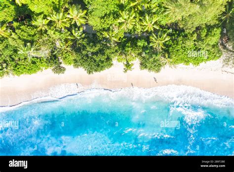 Seychelles Beach Mahé Mahe Island Nature Vacation Paradise Ocean Drone