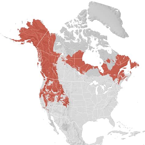 Fox Sparrow Range Map Breeding Ebird Status And Trends