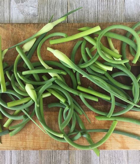 How To Use Garlic Scapes And My Favorite Garlic Scape Pesto Recipe