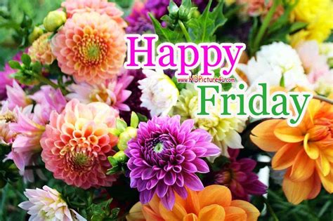Happy Friday Hd Images Wallpaper Pictures Photos Images And Photos Finder