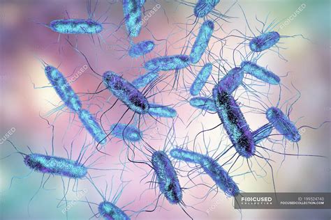 Digital Illustration Of Salmonella Gram Negative Rod Shaped Bacteria
