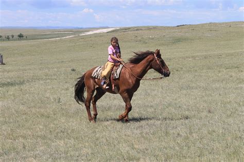 Ten Steps To Being A Real Cowgirl A Ranch Mom