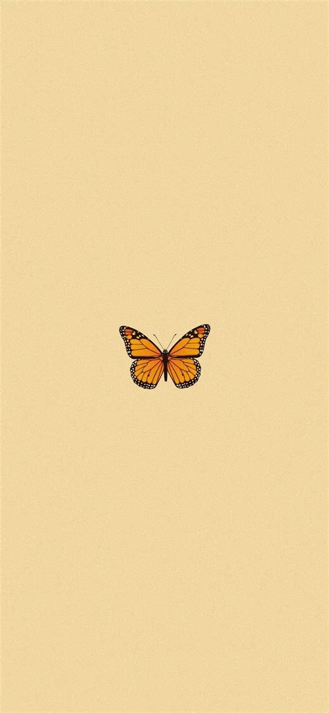 Aesthetic Butterfly Wallpaper Live Photo Download Free Mock Up