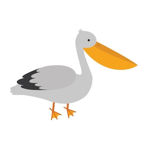 Premium Vector Cute Cartoon Pelican