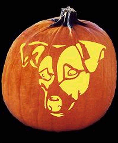 Terriermans Daily Dose Halloween Jack O Country Halloween Halloween