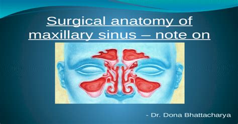 Surgical Anatomy Of Maxillary Sinus â€“ Note On 2 Pptx Powerpoint