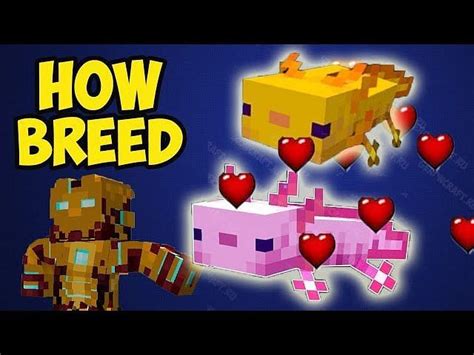 How To Find And Breed Axolotls In Minecraft 119