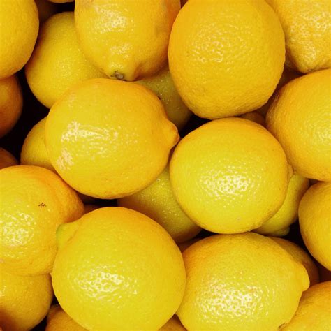 Real Food Encyclopedia | Lemons | FoodPrint