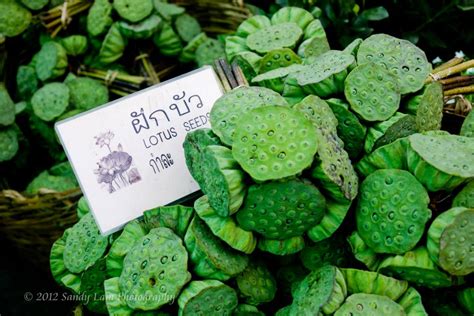 Tailing Chan Floating Market Sandy Lam Photography Sandy Lam