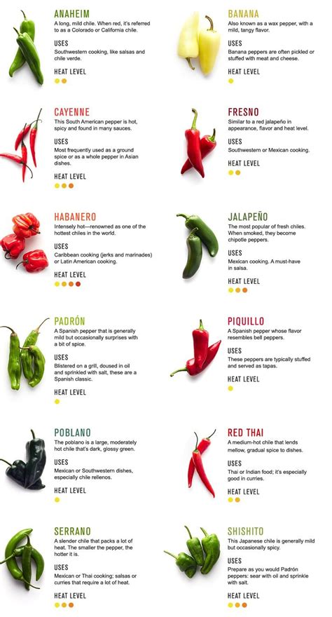 Chili Pepper Guide Cooking Basics Cooking Guide Food Guide Cooking