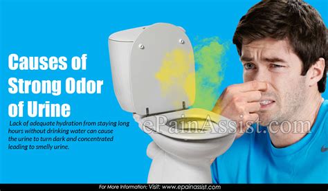 Causes Of Strong Odour Of Urine