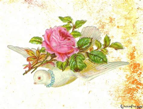 Dove With Roses Art Flowers Creation Dove Hd Wallpaper Pxfuel
