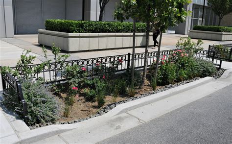 True master gardeners with both formal training and several years of garden practice. 2,000 More Bioswales Will Help NYC Absorb Stormwater | 6sqft