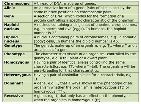 Summary Biology Notes For Igcse 2014
