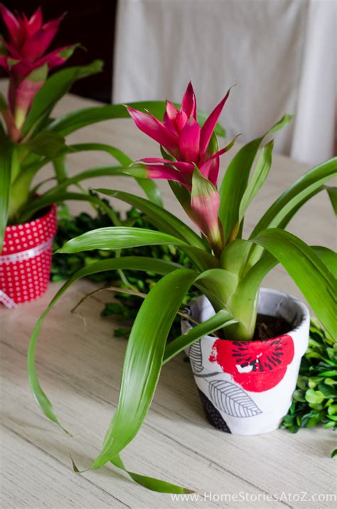 Check spelling or type a new query. How to Mod Podge Flower Pots