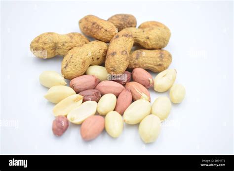 Groundnut Harvest Hi Res Stock Photography And Images Alamy