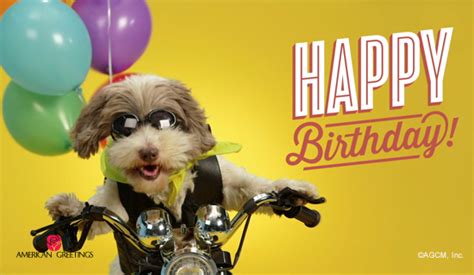 pharrell williams happy birthday famous song happy birthday ecard american greetings
