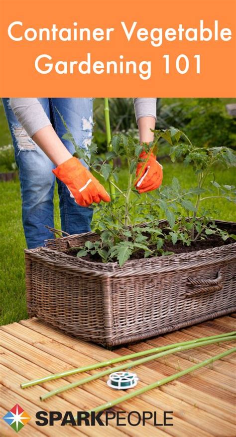 A Beginners Guide To Container Vegetable Gardening Container