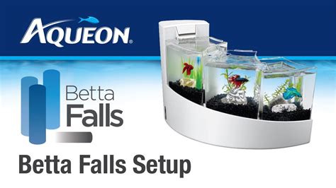 Aqueon Betta Falls Betta Desktop Aquarium Kit Set Up Youtube