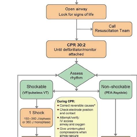 Advanced Life Support Treatment Algorithm Reproduced With Permission