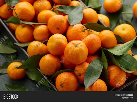 Fresh Mandarin Oranges Image And Photo Free Trial Bigstock
